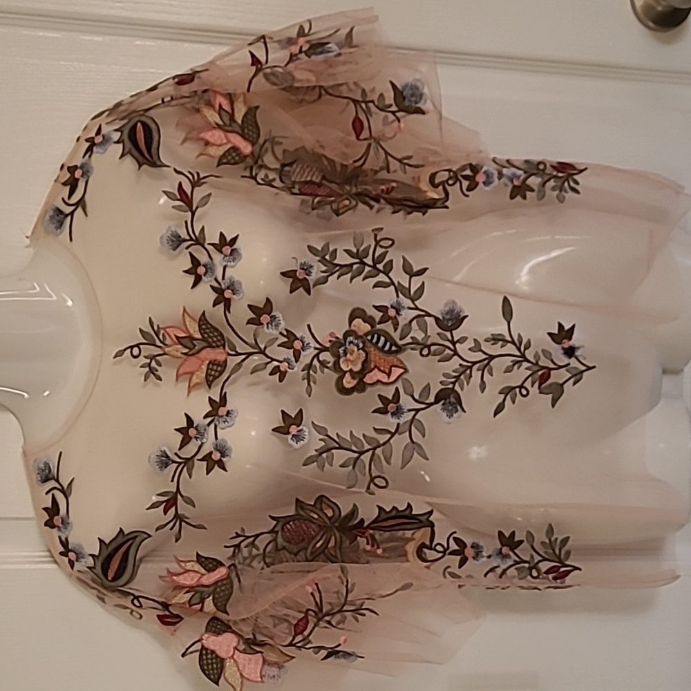 Zara Sheer top